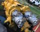 Transmission & Torque Converter to Suit Komatsu HD785-5 Loader ($USD7,750 package deal) (sale-ehub1596)